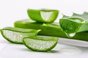 aloe para el tratamiento de la prostatitis