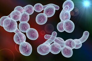 agente causante de la prostatitis bacteriana en hombres