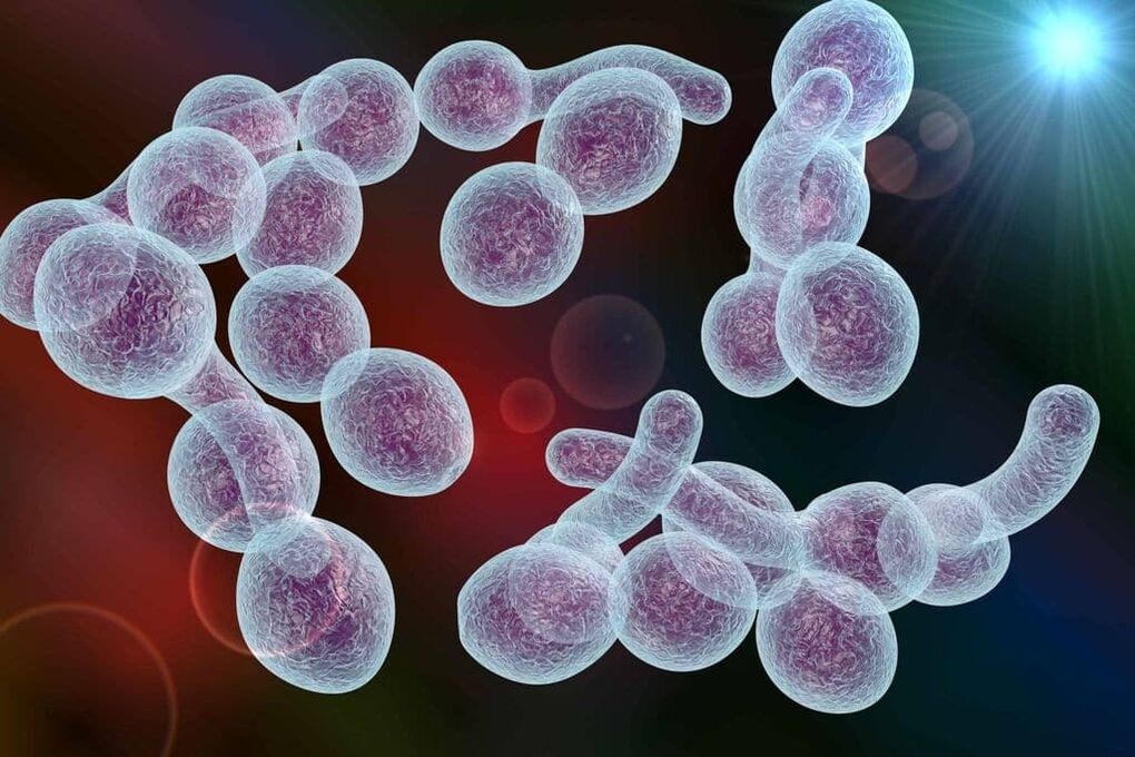 agente causante de la prostatitis bacteriana en los hombres